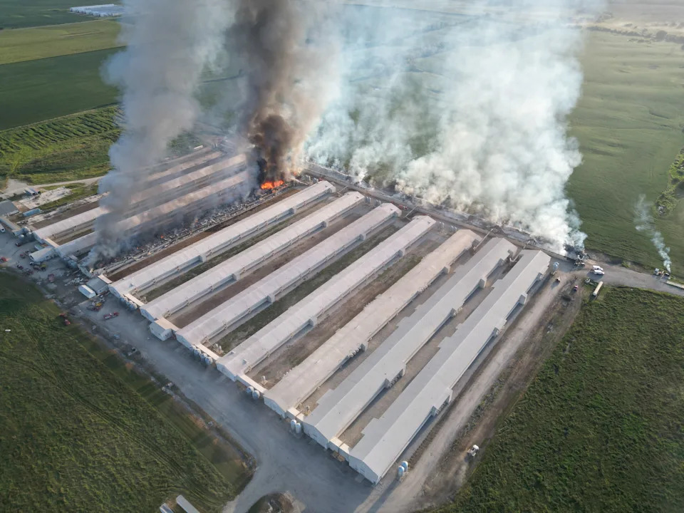 Fire at Iowa chicken farm kills more than 100,000 birds, draws over 100 firefighters
