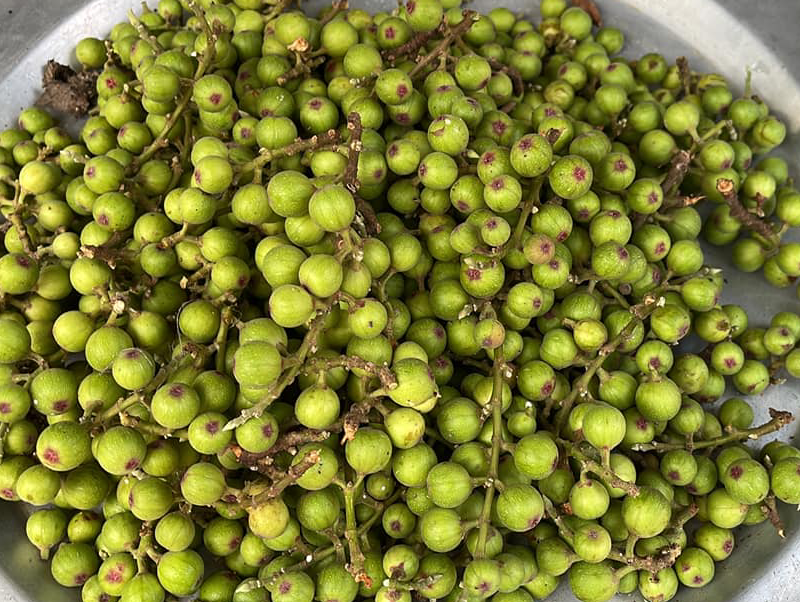 Quả sung - kho canxi tự nhiên tốt cho sức khỏe