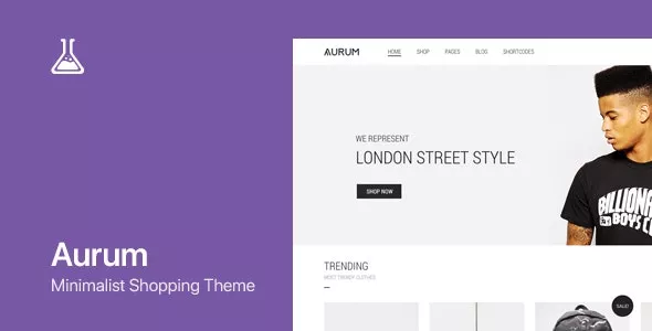Aurum - WordPress & WooCommerce Shopping Theme v4.0.6