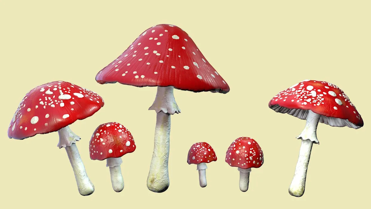 The growing fad of ‘microdosing’ mushrooms is leading to an uptick in poison control center calls and emergency room visits