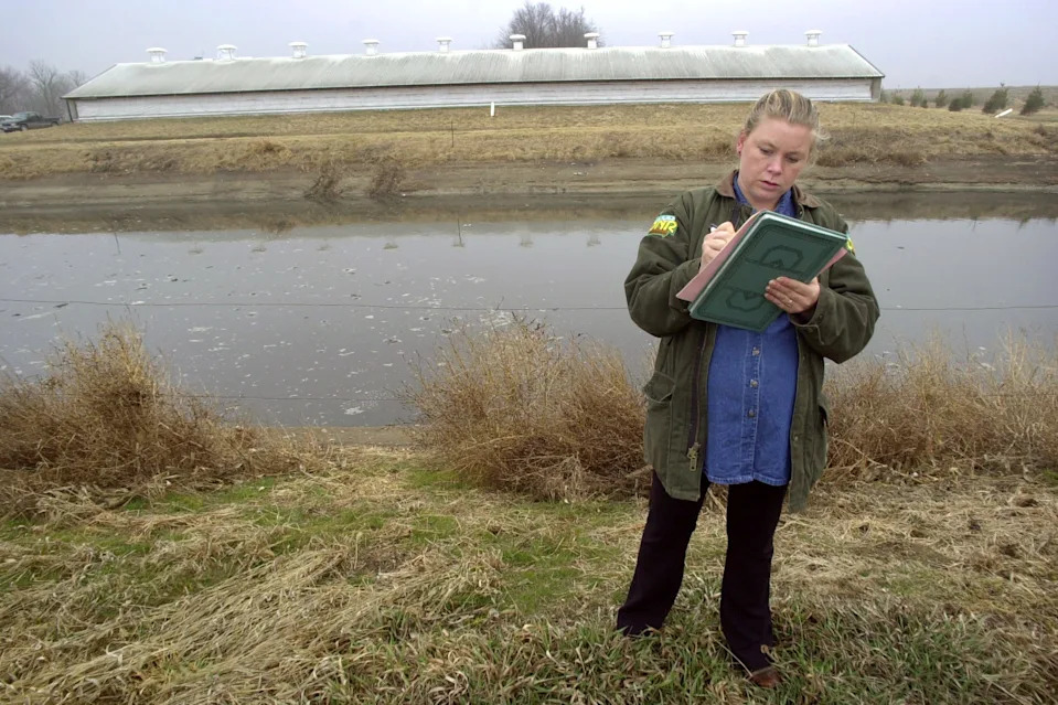 A woman stands in the foreground. Behind here is a long pool of manure, and behind that is a long white barn.
