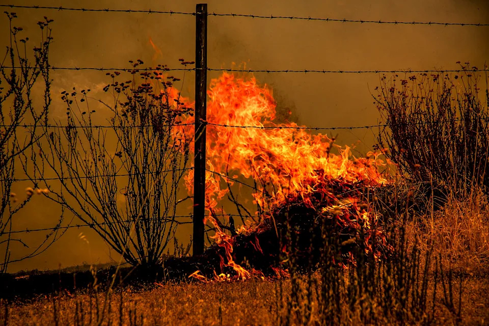 Gifford Fire burns 30,000 acres in Los Padres National Forest on August 2, 2025. Flames sweep through rugged terrain near Santa Maria, California, forcing evacuations and endangering nearby communities and wildlife.