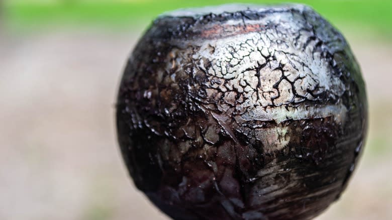 A greased hitch ball for towing trailers