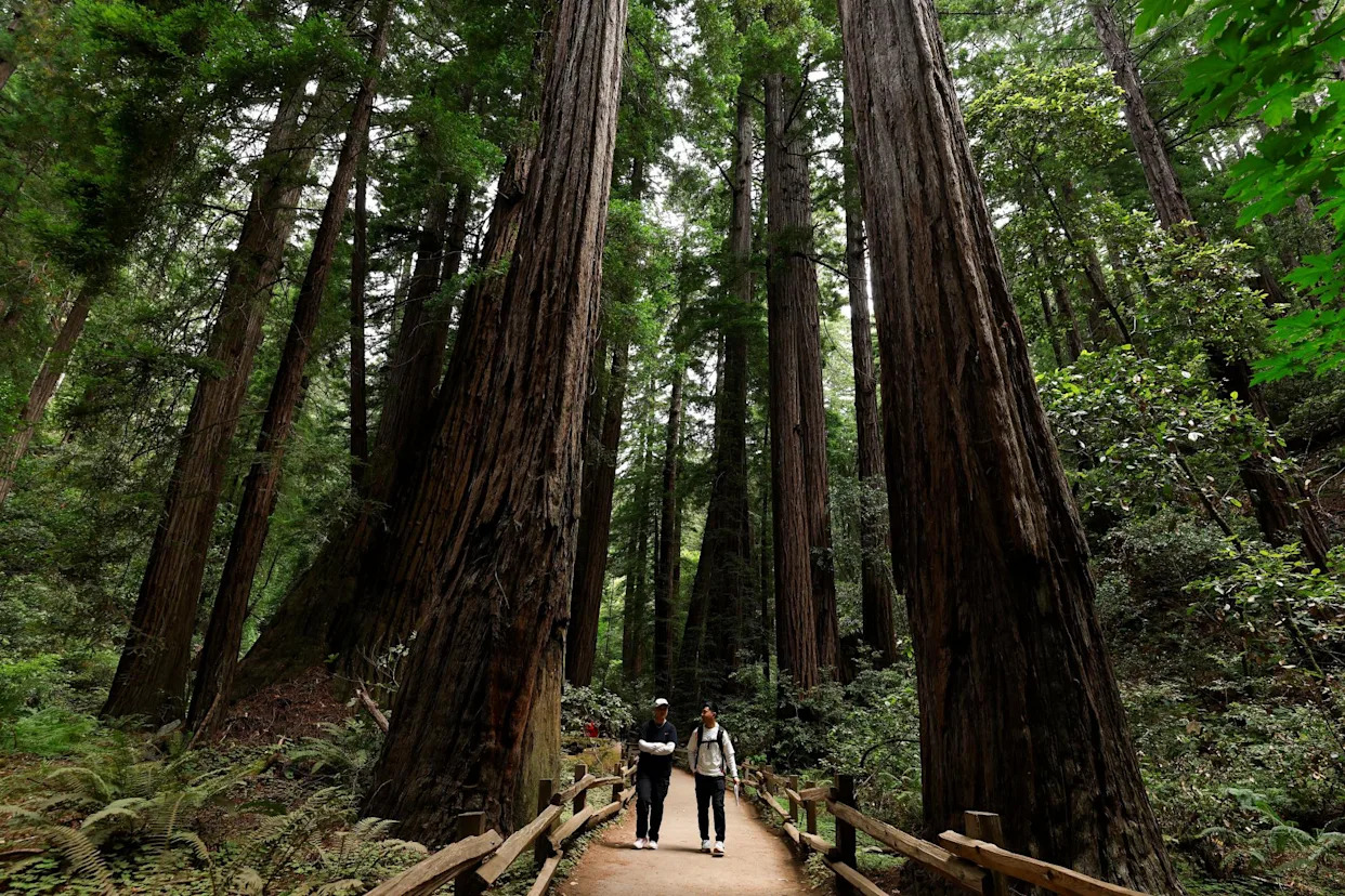 Trump’s move to sanitize US history gets little support with national park visitors
