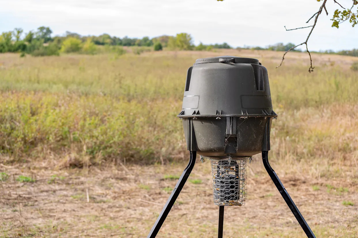 Mississippi Told Hunters They Could Bait on Public Land This Fall. The Only Problem? It Was a Complete Hoax