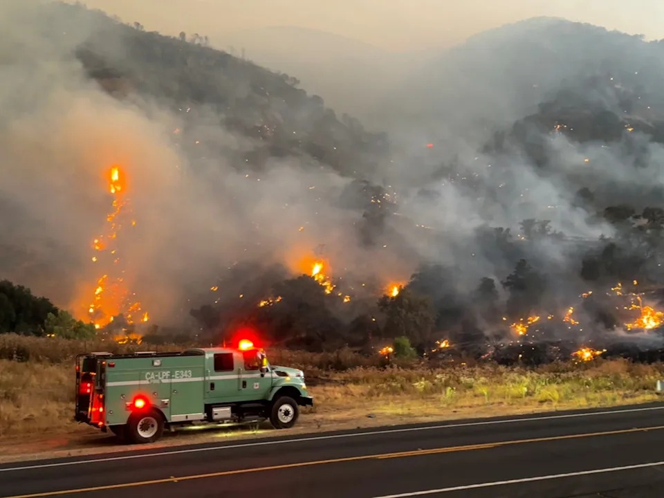 Fueled by hot, dry conditions and gusty winds, the wildfire has been burning through parts of Los Padres National Forest since Friday (US Forest Service)