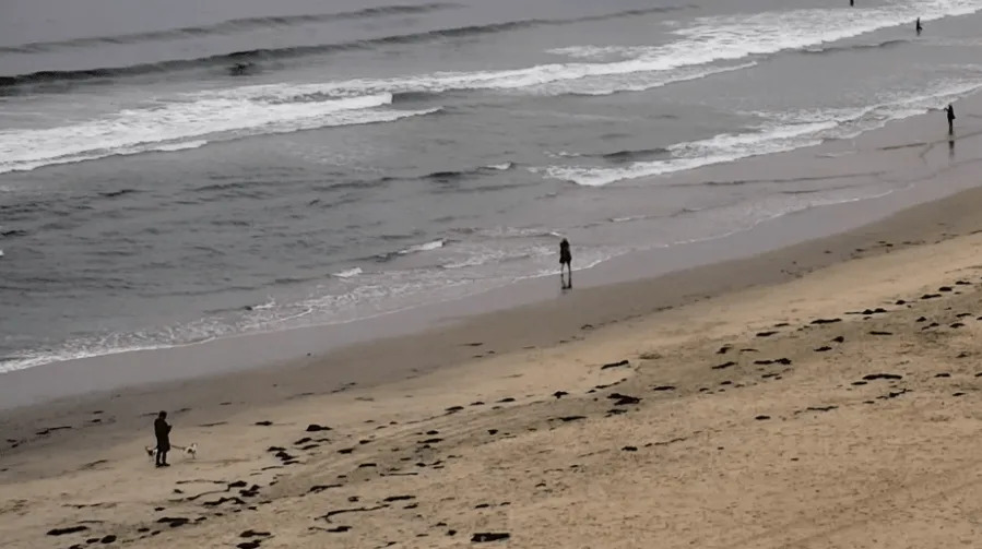 Views of Pacific Beach, Calif. from Pacific Terrace Hotel on Wednesday, July 30, 2025. (Image credit: Live Beach Cam operated by Pacific Terrace Hotel)