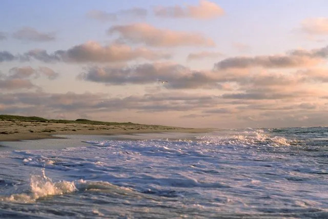 Amy Toensing/Getty New Jersey's Island Beach, located between the Atlantic Ocean and Barnegat Bay, where the whale was