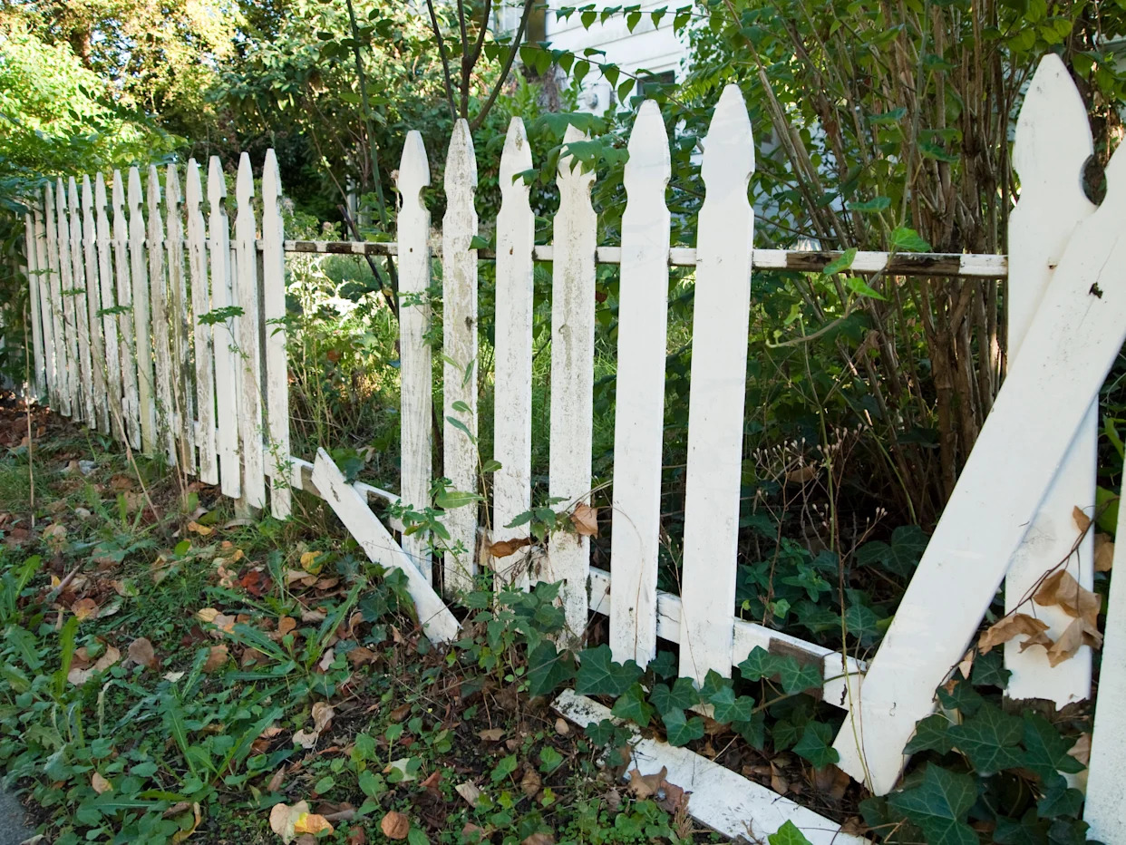 Can I remove my neighbor’s fence if it's on my property? What New York state law allows
