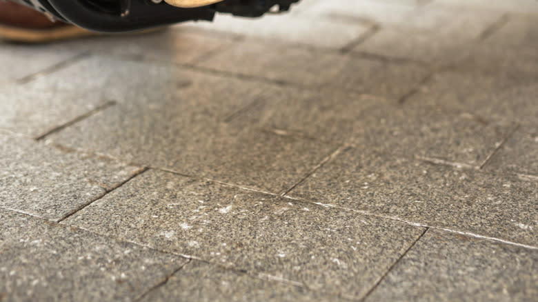A boot on a motorcycle peg