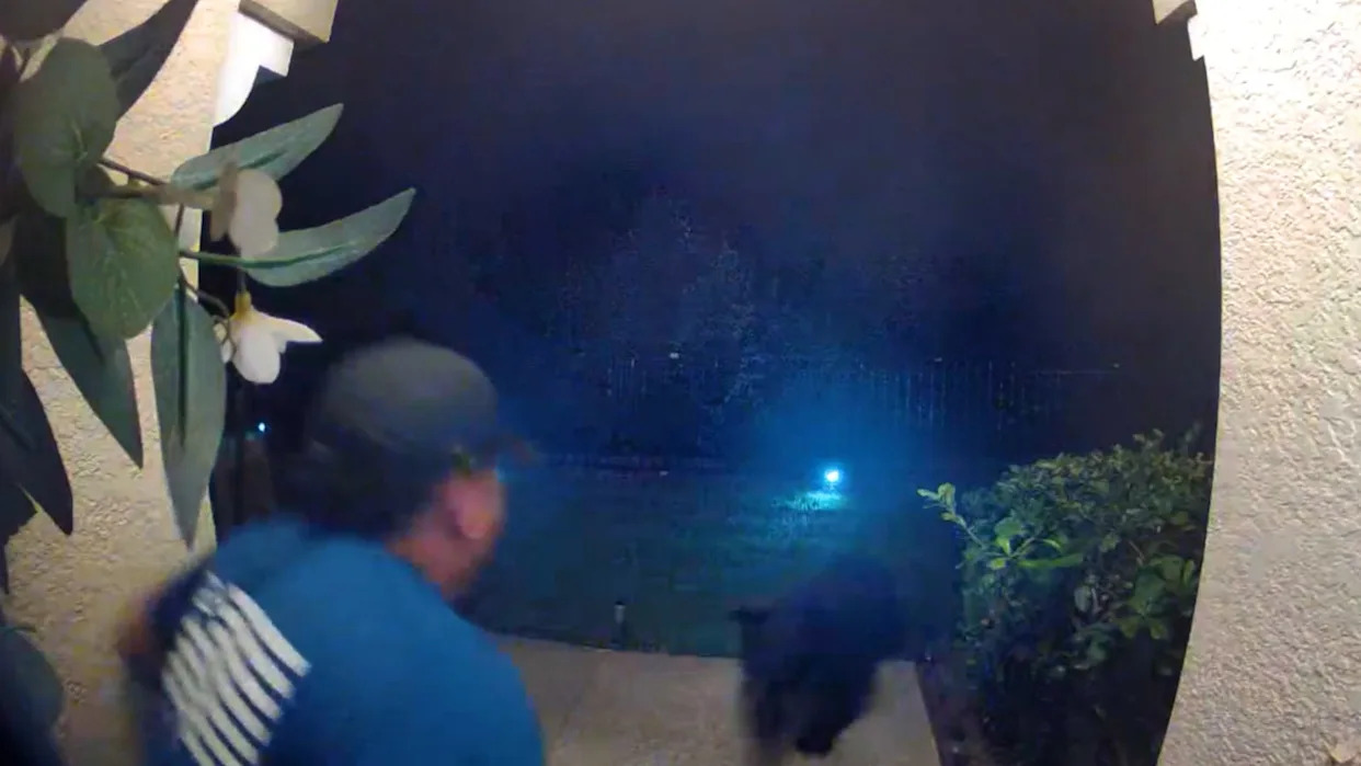 Watch as Florida bear attacks man as doorbell video rolls