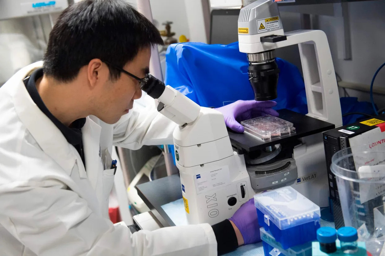 Trump cuts to science research threaten his administration’s own AI action plan