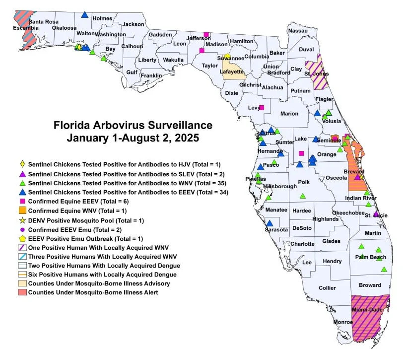 World's deadliest animal is probably outside your Florida home right now. Protection tips