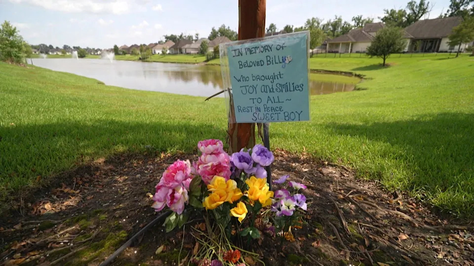 Billy the goose's death sparked community tributes, social media memories and a lasting memorial. / Credit: CBS News