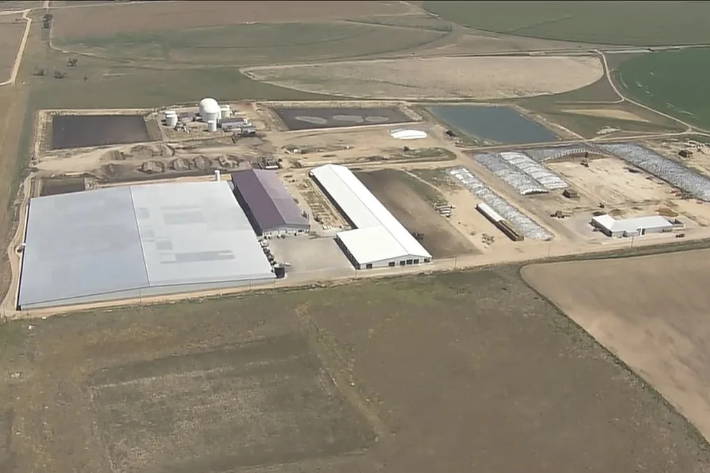 Rural Colorado mourns 6 who died from suspected gas exposure at dairy farm