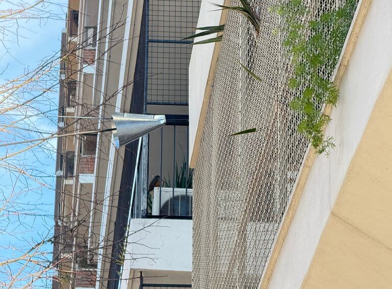 Denuncian que cada vez hay más ratas en Buenos Aires: los barrios complicados y sus lugares “preferidos”