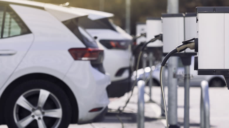 A row of electric vehicles in public charging spots