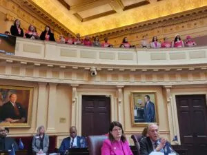 Reproductive-rights supporters watch as lawmakers debate a proposed constitutional amendment to protect abortion access on Jan. 21, 2025. (Photo by Charlotte Rene Woods/Virginia Mercury)