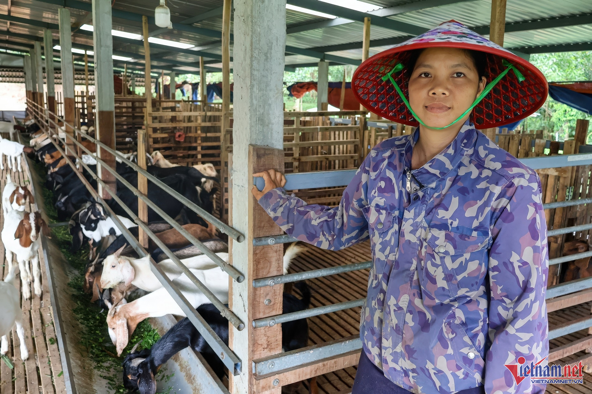 8X Đà Nẵng làm trang trại xanh, biến đất cằn thành 'mỏ vàng', kiếm bộn tiền