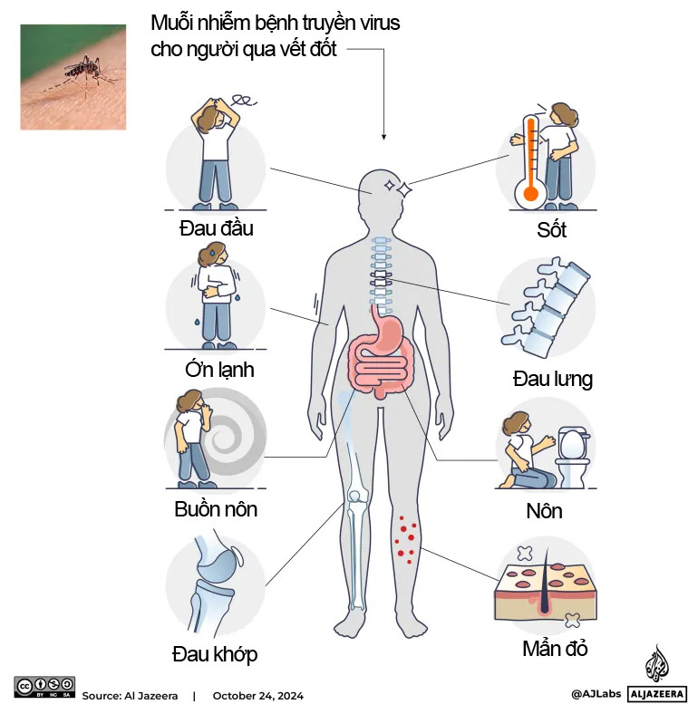 Virus chikungunya đang lây lan trên thế giới có nguy hiểm không?