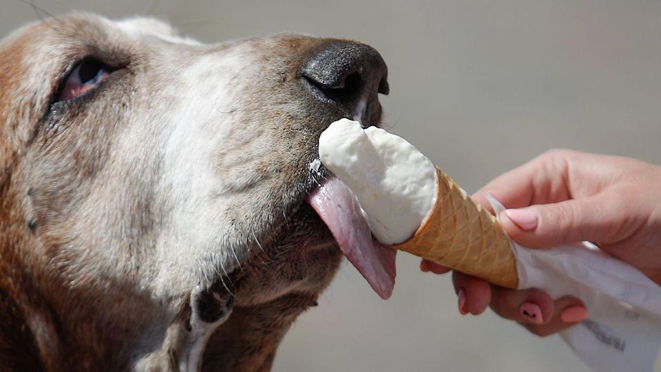 La búsqueda científica de un helado que no se derrita