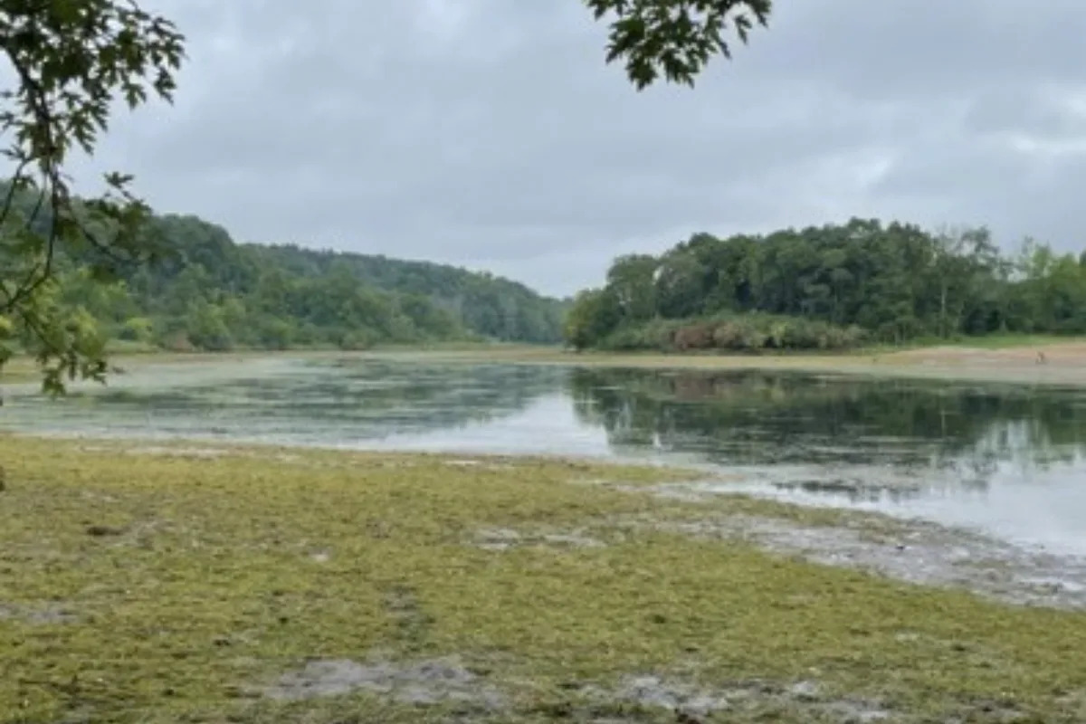 ‘I just don’t know how it happens’: Minnesota lake nearly entirely drained after ‘mechanical issue’