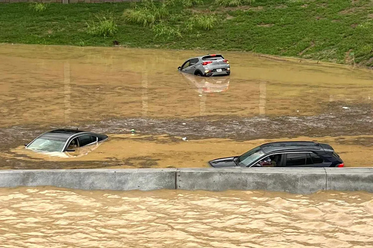 Family of 3 Killed by Falling Tree as Heavy Rain and Flash Floods Soak Parts of Tennessee