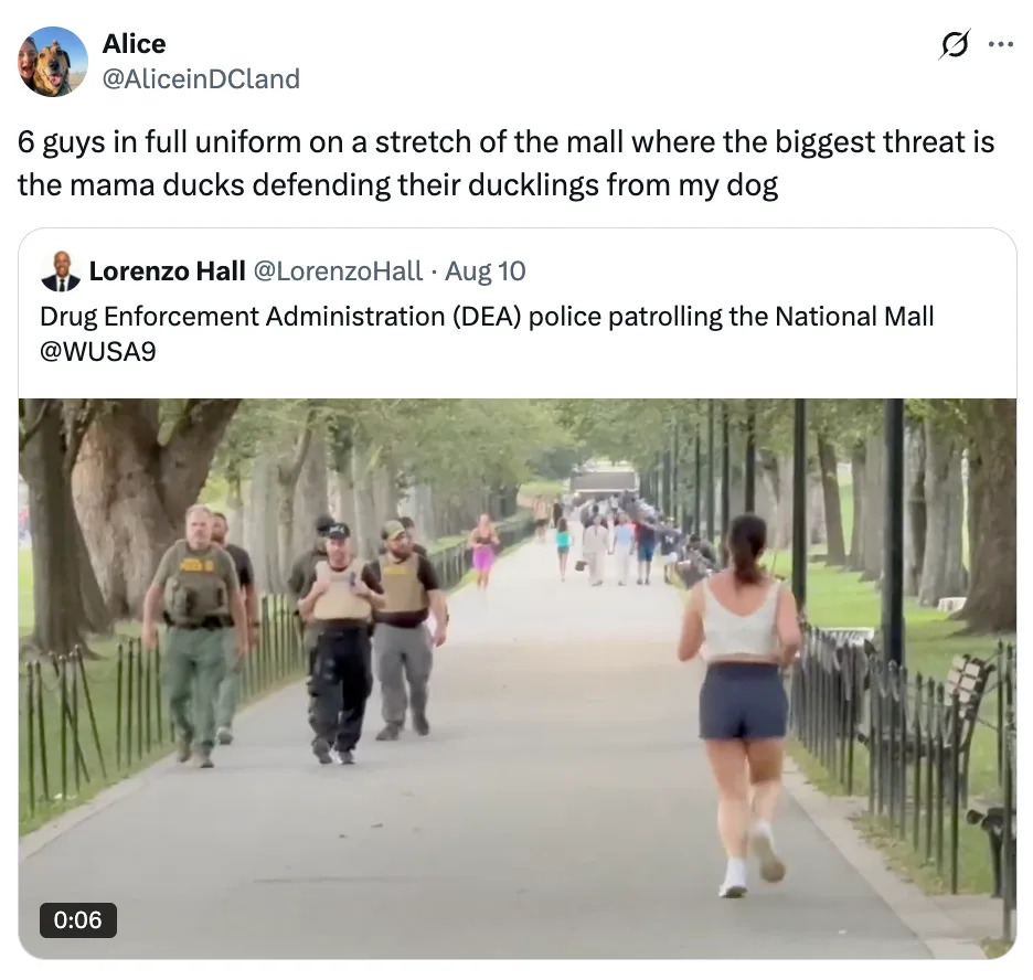 Screenshot of a tweet by Alice: "6 guys in full uniform on a stretch of the mall where the biggest threat is the mama ducks defending their ducklings from my dog." Includes a video still of people walking