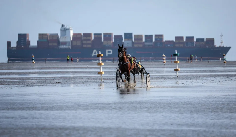 A racehorse pulls a small carriage on mudflats, with a container ship visible in the distance.