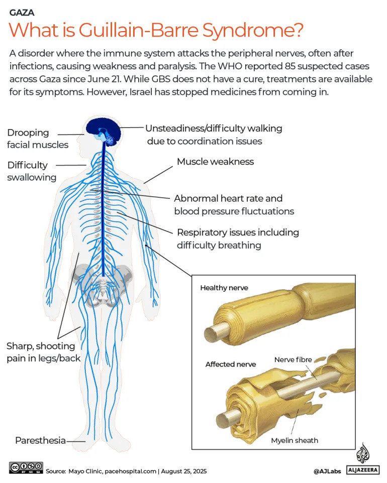 What is GBS, the rare paralytic disease in Gaza amid Israeli blockade?