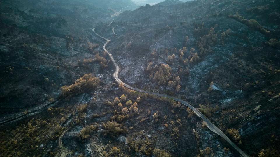 Paisaje carbonizado tras un incendio forestal el 9 de agosto de 2025 en Fontjoncouse, Francia. Enormes incendios forestales arrasaron la región de Aude, en el sur de Francia, causando la muerte de una persona. - Getty Images