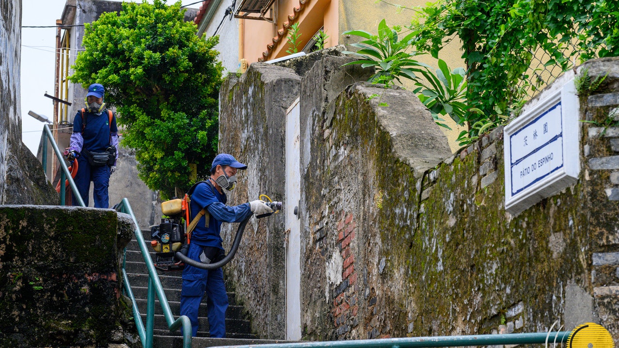 基孔肯雅熱｜澳門確診首宗本地病例　與早前地盤患者有關聯