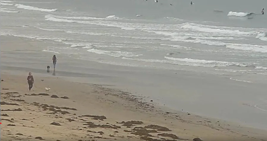 Views of La Jolla Shores, Calif. from Scripps Memorial Pier at Scripps Institution of Oceanography at UC San Diego. (Image credit: Pier Cam operated by Scripps Institution of Oceanography at UC San Diego)