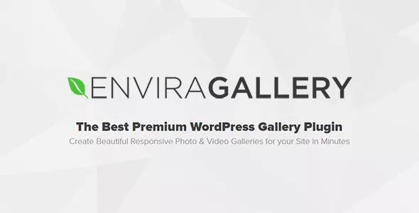 Envira Gallery Pro - Best Responsive WordPress Gallery Plugin v1.11.0