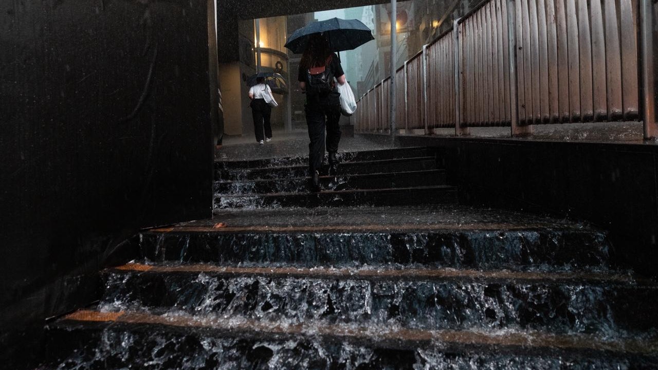 黑雨 | 類鼻疽菌暴雨後易散播　衞生署籲市民避免接觸土壤或泥水