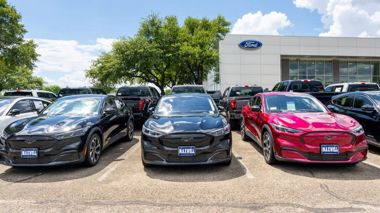 Ford Mustang Mach E EVs in a front--on view at a Ford dealership