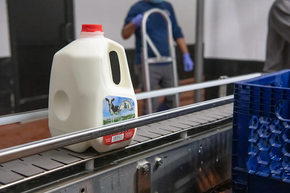 Official drink: Milk.