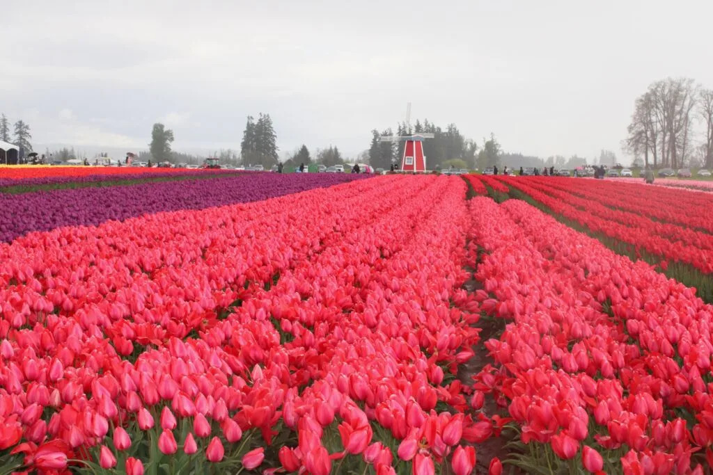 Oregon ditches farm stand regulations after public outcry