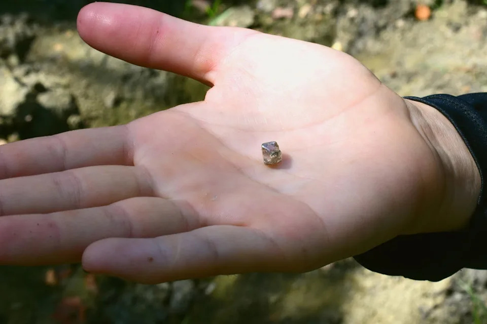 Fox spent three weeks at the Crater of Diamonds State Park before finding the 2.3-carat diamond (Arkansas State Park)