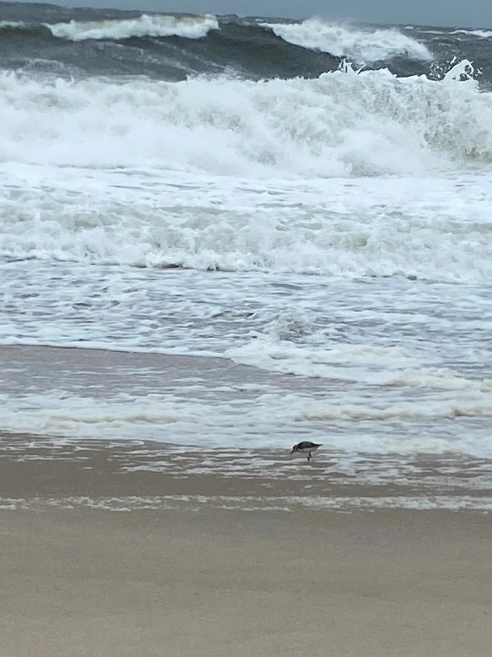 Hurricane Erin swells could flood Delaware beach towns: 'The biggest I've ever seen'