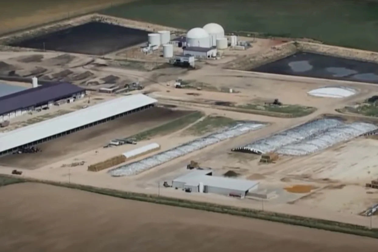 6 Dead, Including High School Student, Following Accident at Colorado Dairy Farm