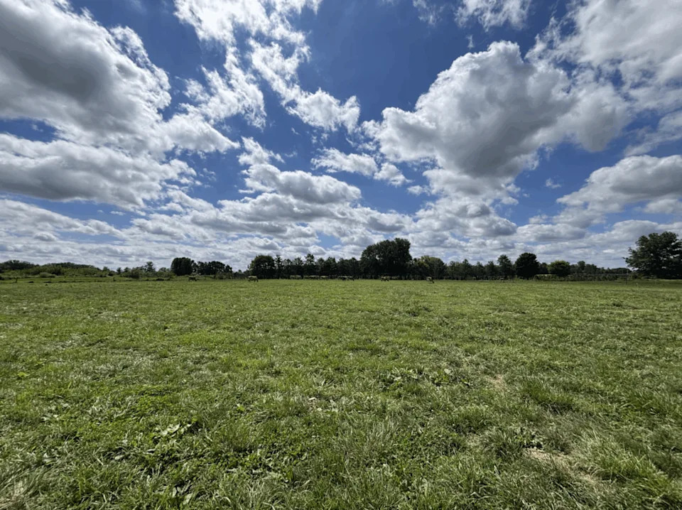 Springfield, Ohio | 2025 (ENB/Reason)