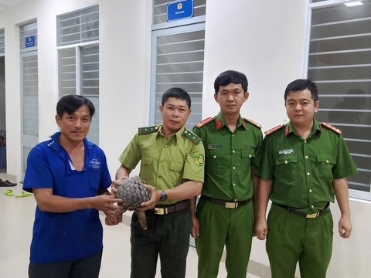 Phát hiện con tê tê quý hiếm nặng 4kg trên đường ở Tây Ninh
