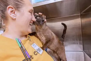 Foster Fest gives pets a chance to find a loving place to stay