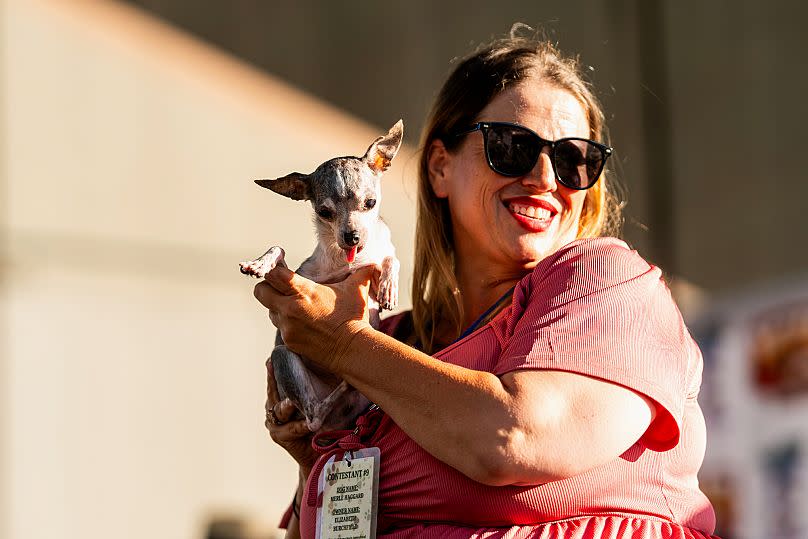 Un perro llamado Merle Haggard compite en el concurso del perro más feo del mundo.