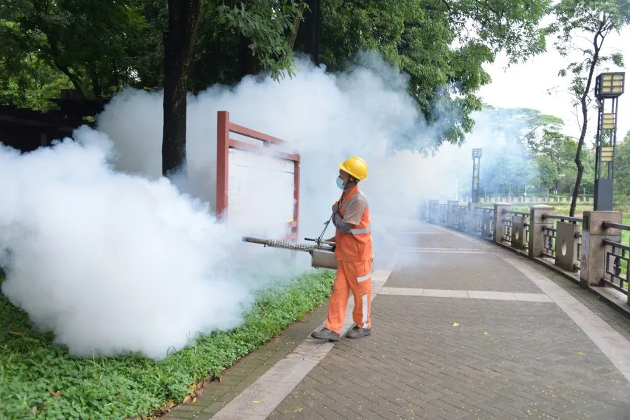 Chikungunya virus spreading in China: What to know