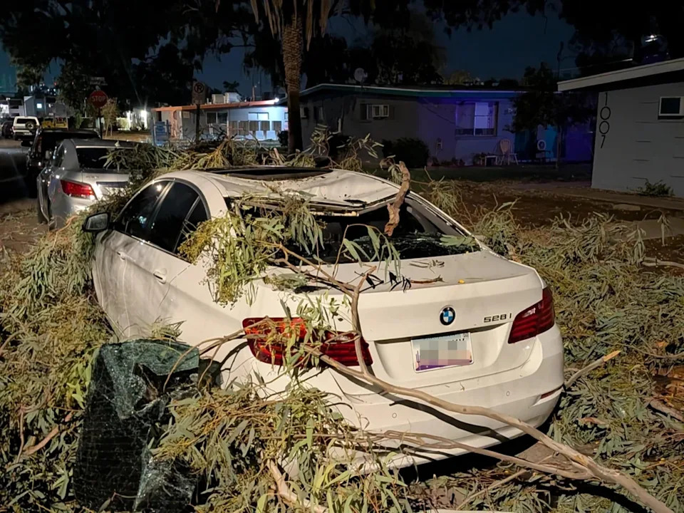 Car crushed under fallen tree branches on residential street at night. Nearby houses visible