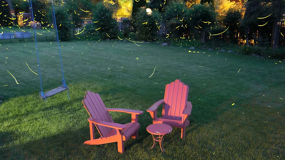 A composite of multiple images taken within the span of about 40 minutes shows the mass of fireflies lighting up in a backyard in Bayside on July 1, 2025.