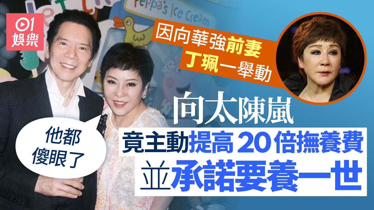 向太陳嵐揭往事承諾要養向華強前妻一世　提高20倍撫養費給丁珮