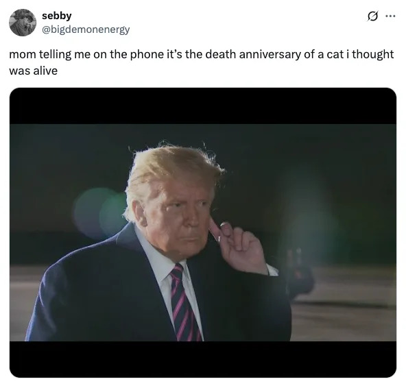A person in a suit with a striped tie appears to be on a phone call. Caption: "Mom telling me on the phone it’s the death anniversary of a cat I thought was alive."